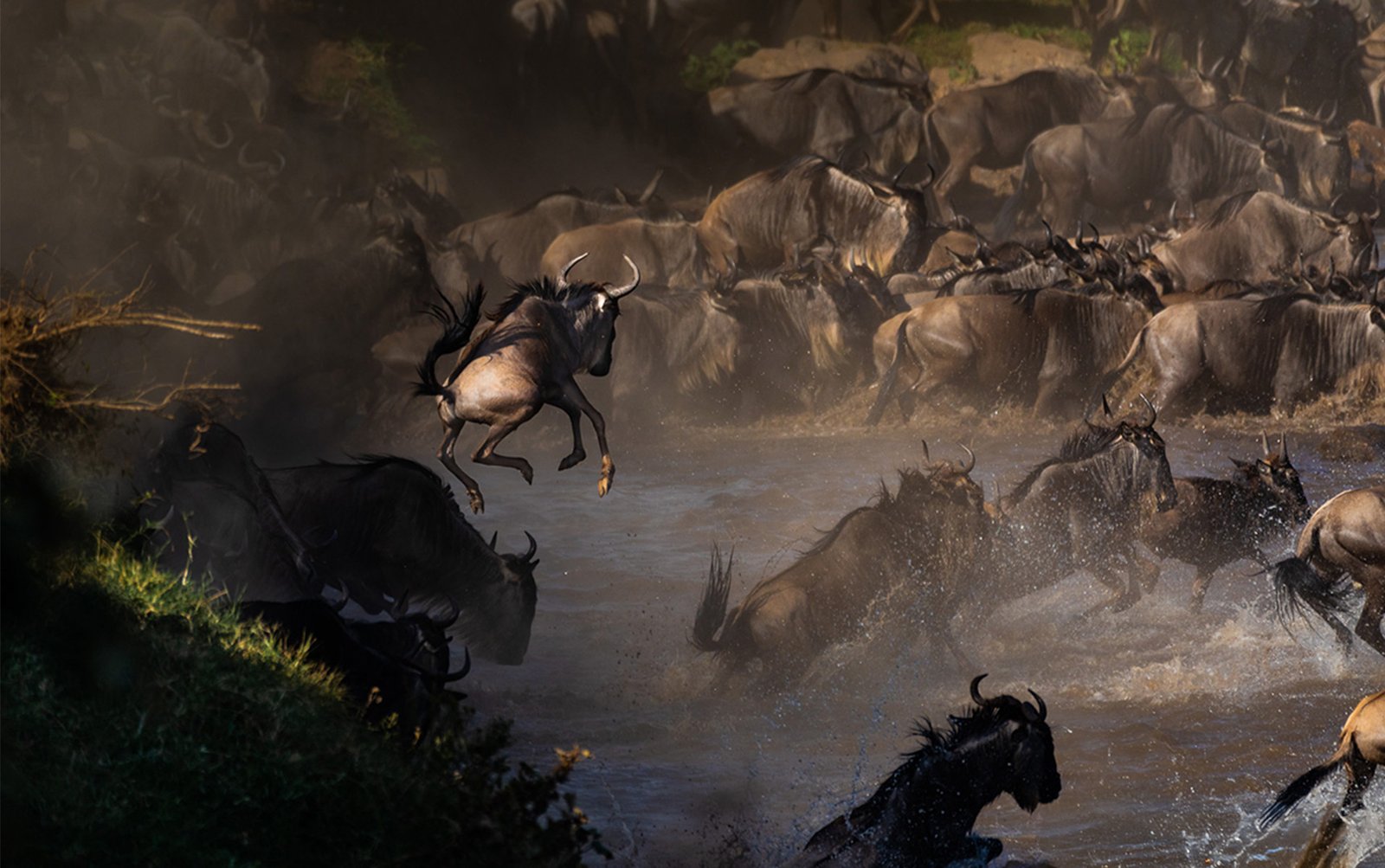 Mara River Crossing Quest