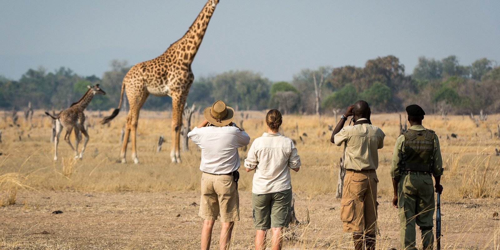 Walking Safari