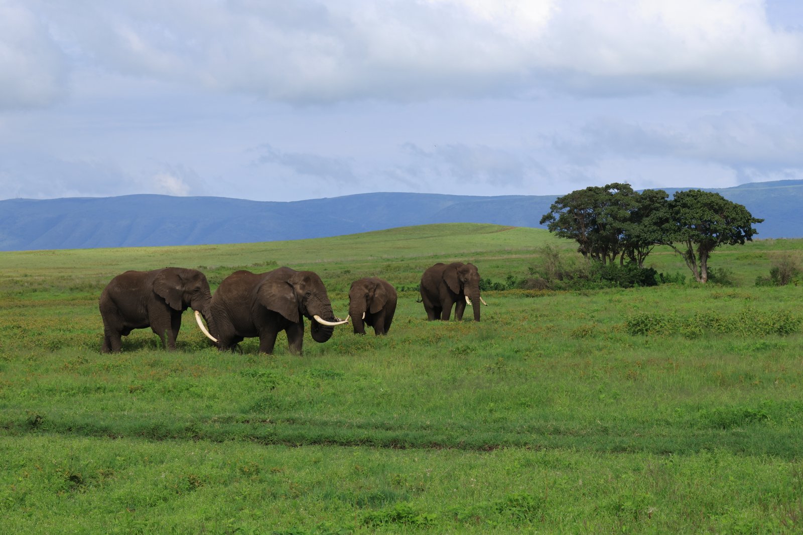 Tarangire Crater Express