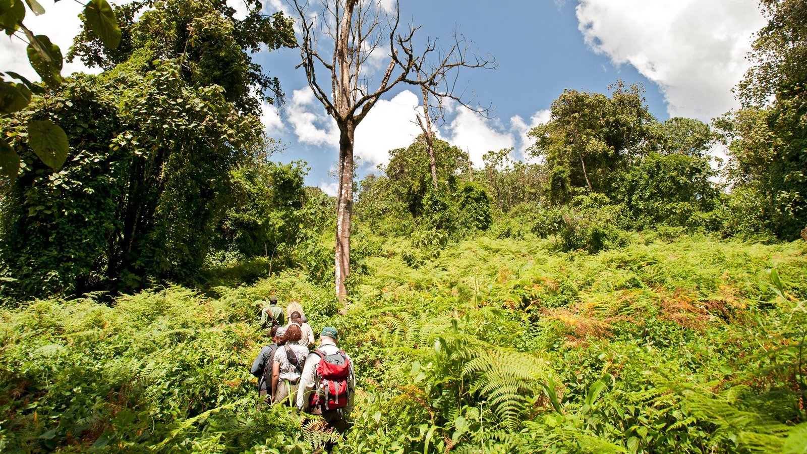 Mahale National Park