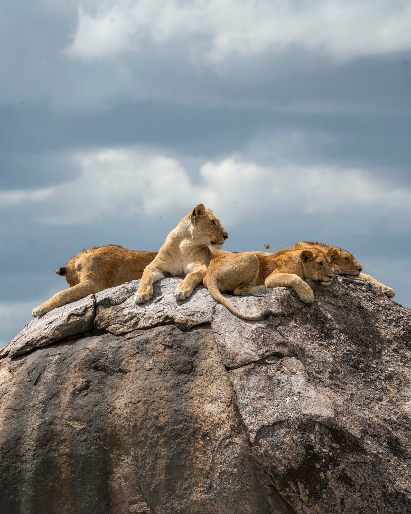 Serengeti National Park