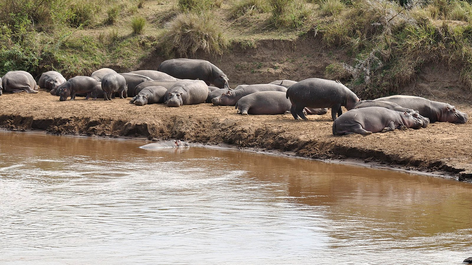 Dry season wildlife viewing