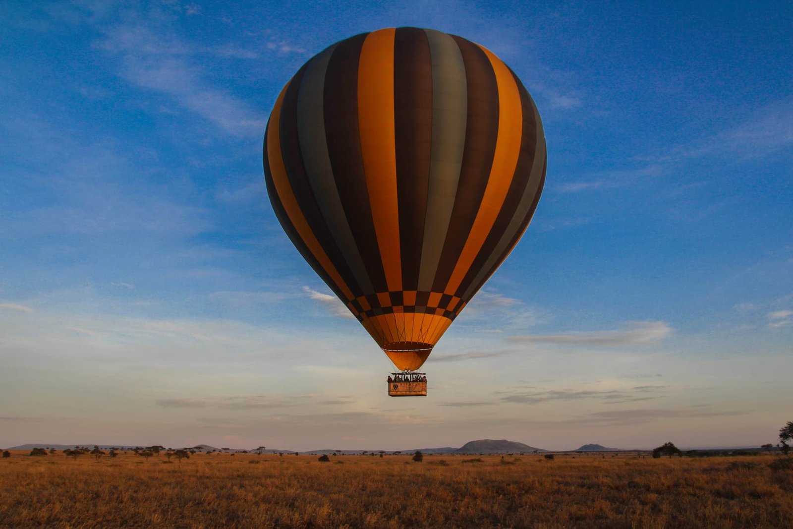 Balloon Safaris