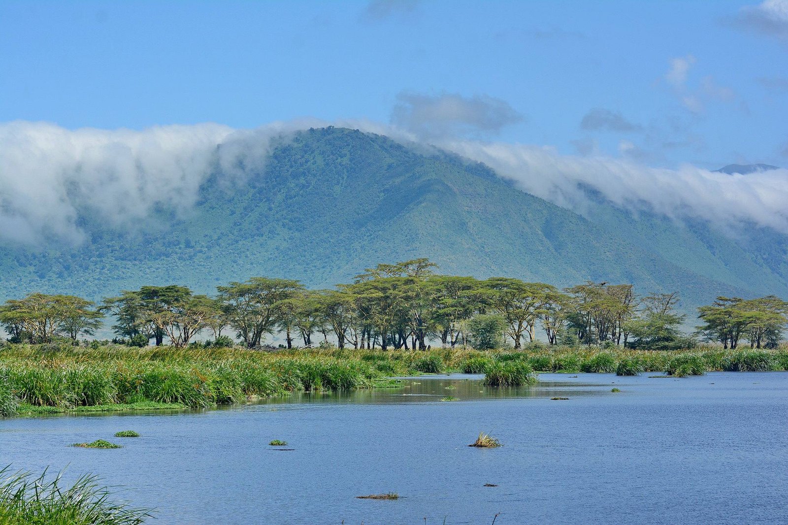 Ngorongoro Crater