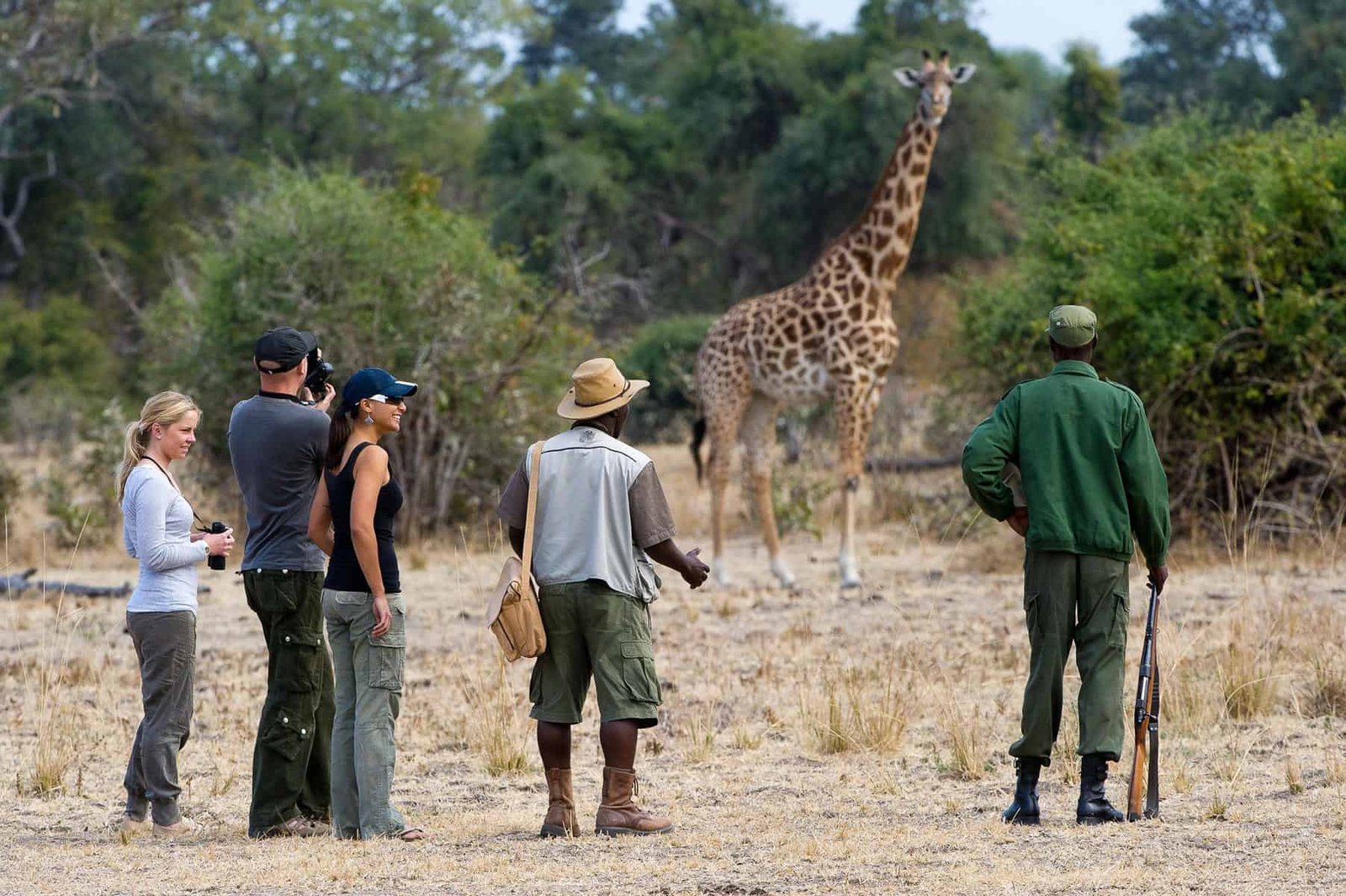 Read the signs of wildlife