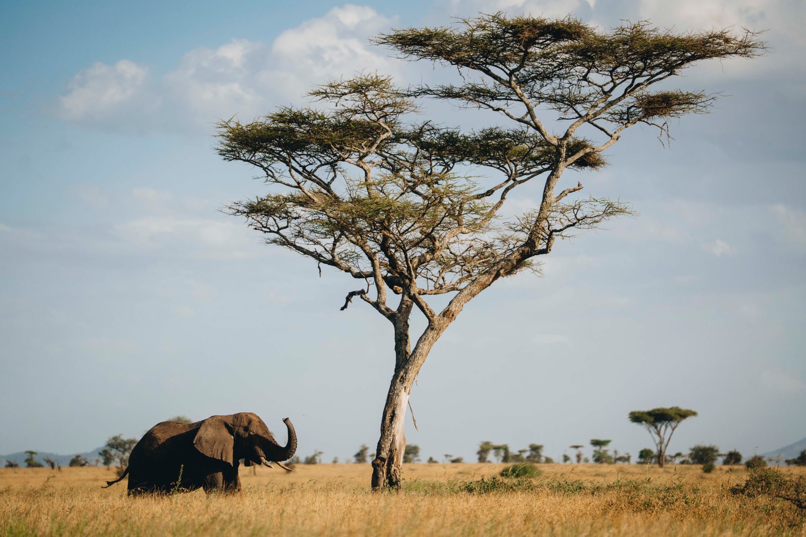 Crater Highlands & Zanzibar Escape