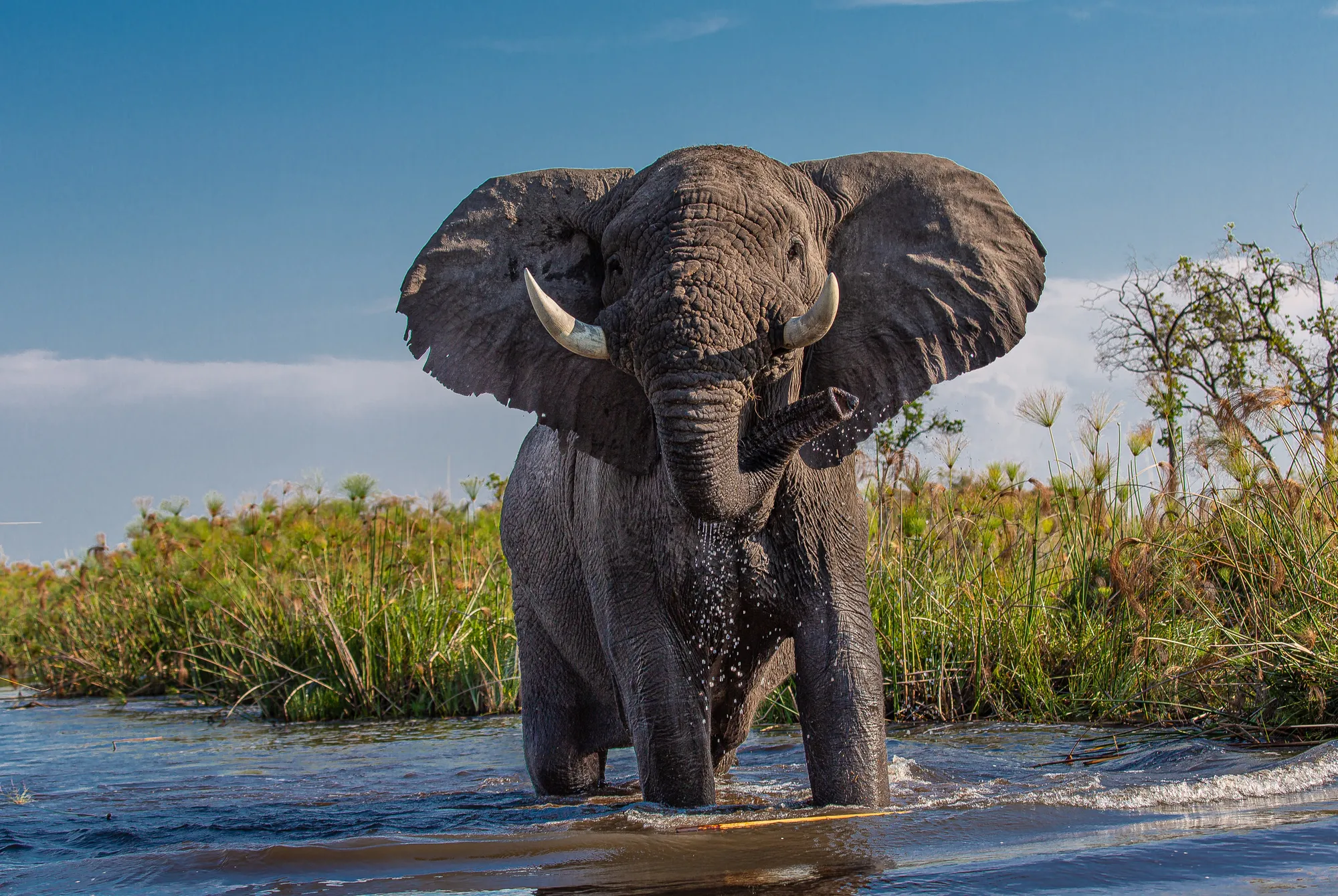 Southern Tanzania Wilderness Explorer