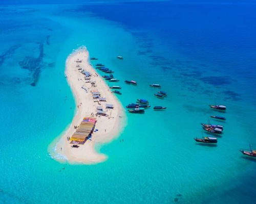 zanzibar excursion--26324120-1642165273 zanzibar excursion--26324120-1642165273